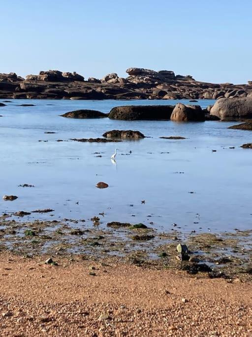 La Bernique Blanche De Perros Vue Mer 4 Personnes Exterior foto